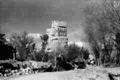 ���� ������ ��� ��� ����